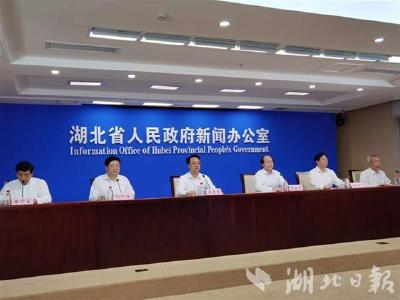 湖北省大健康产业规模超过4500亿元 