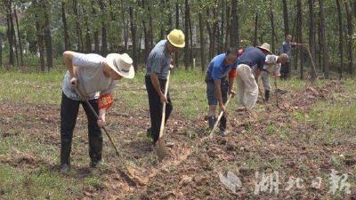 青年力量！嘉鱼90后00后大学生守护护城堤