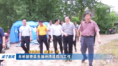 肖彬督查嘉鱼簰洲湾堤防汛工作