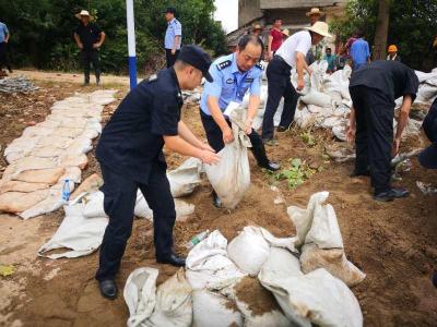 咸宁：长江大堤上的“藏青兰”防线 