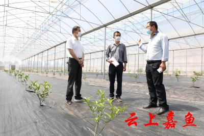 嘉鱼：向形式主义官僚主义“亮剑” 追责问责98人 