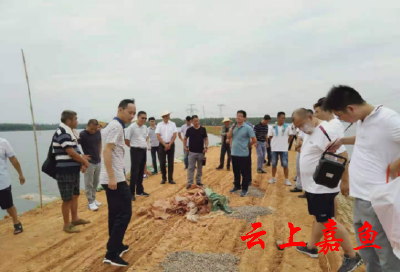嘉鱼县水利和湖泊局组织开展现场防汛处险学习活动  