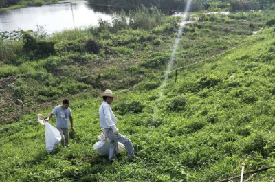 陆溪镇：清理堤防垃圾 保护生态环境