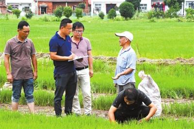 图文：快速定损 及时理赔 