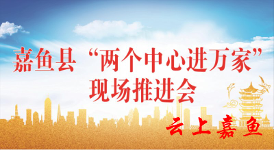 【直播】嘉鱼县“两个中心进万家”现场推进会