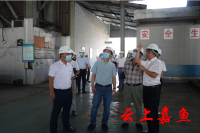 嘉鱼经济开发区开展“走进金盛兰”主题党日活动