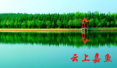 在咸宁，还是这条“鱼”最有名