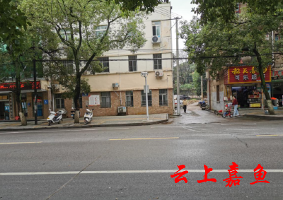 【创卫红黑榜】沙阳大道不文明现象