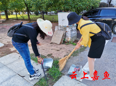 嘉鱼千名干部职工上街清洁家园