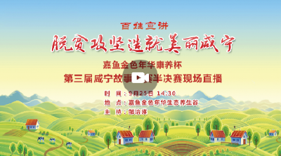 第三届咸宁故事大赛半决赛现场直播