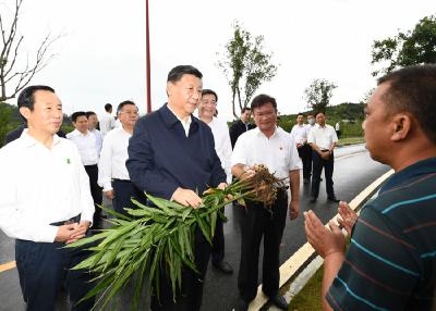 为了这件大事，总书记开了第六场座谈会