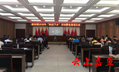 新街镇举办2020年“科技下乡”活动暨电商培训会