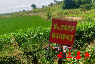 新街镇从严从实抓好秸秆禁烧