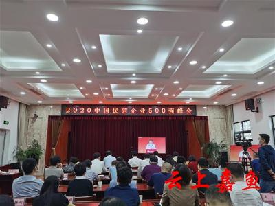全市唯一一家！嘉鱼这家企业入围2020中国民企500强！