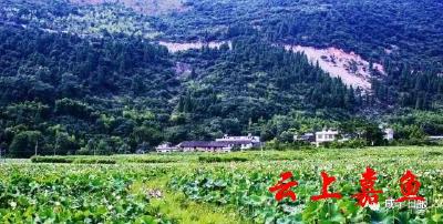 咸宁两地上榜中国中部百强镇