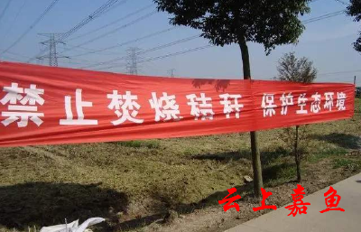簰洲湾镇严抓秸秆禁烧工作不放松