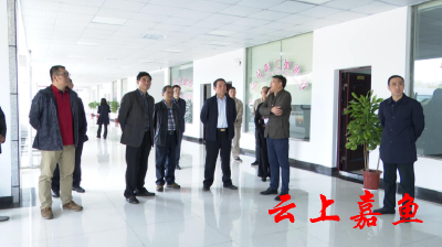 市人大常委会调研组来我县开展专题调研