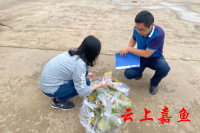 我县多措并举保障市民“舌尖上的安全”