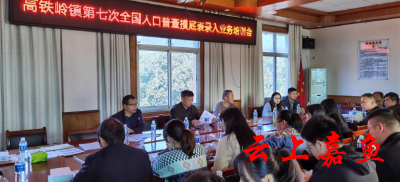 高铁岭镇稳步推进第七次人口普查摸底录入工作