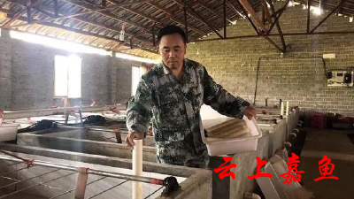 从连续四年亏损到接连盈利，退役军人周庆靠鮰鱼养殖，打了个创业翻身仗！  