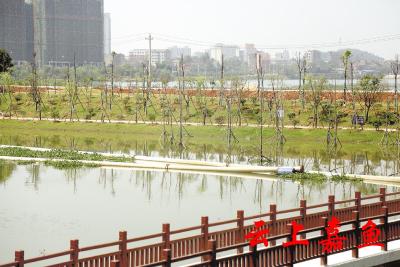 嘉鱼小湖整治优化施工方案 造一座湖心岛给鸟栖息 