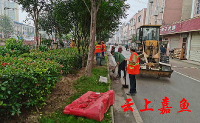 潘家湾镇开展“双节”前环境卫生大整治活动