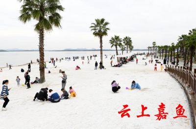 金色年华生态养生谷游人如织