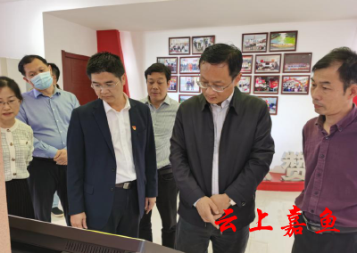 胡春雷王永调研市年终拉练检查项目