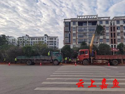 方庄路绿化项目施工正酣