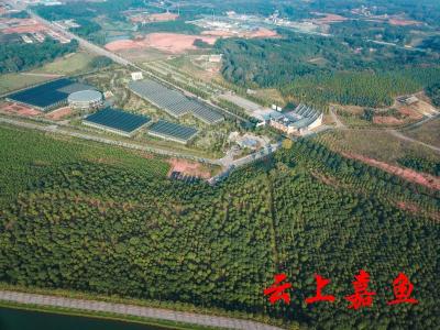 为民造福办实事！嘉鱼这个镇做到了 