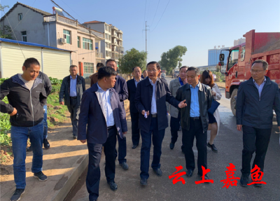 胡春雷检查小新堤路环境整治