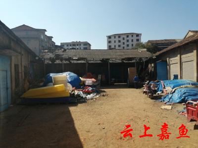 【创卫红黑榜】文明城市创建问题曝光