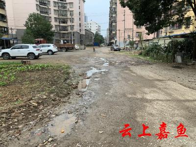 【创卫红黑榜】九栋小区“脏乱差”