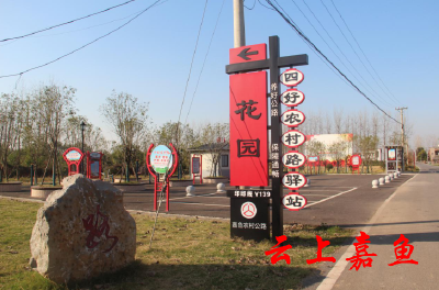 陆溪镇全域推进农村人居环境整治