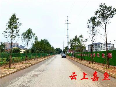【创建进行时】小新堤路换新颜