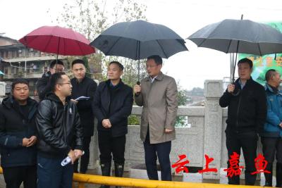 胡春雷王永调研滨江生态提升示范工程