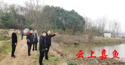 高铁岭镇严抓小农水维修工程“验收关”