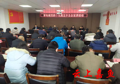 县领导在新街镇宣讲党的十九届五中全会精神