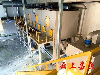 【环保督察整改进行时】元阳食品废气达标排放