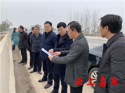 县领导调研金水河河长制工作
