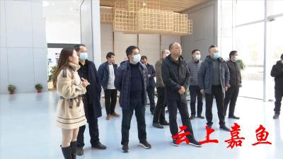 市文产办督查组来我县督查考核文化产业工作