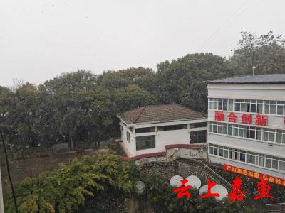 “冻”力十足，我县未来七天维持低温天气