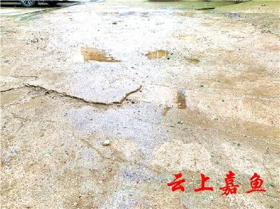 【创建进行时】县农业农村局包保创文区域环境亟待整改