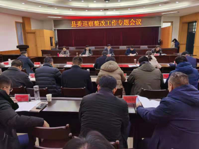 我县召开县委巡察整改工作专题会