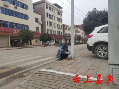 潘家湾镇开展路灯扫盲行动