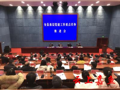 我县召开基层党建工作重点任务推进会