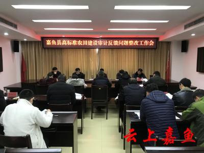 我县召开高标准农田建设审计反馈问题整改工作会