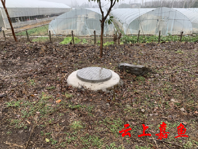 【创文我们在行动】南门大道构筑最美旅游风景线