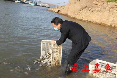 嘉鱼首次举行公益诉讼增殖放流