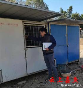 投入“0首付”，嘉鱼能人养鸡带民致富 